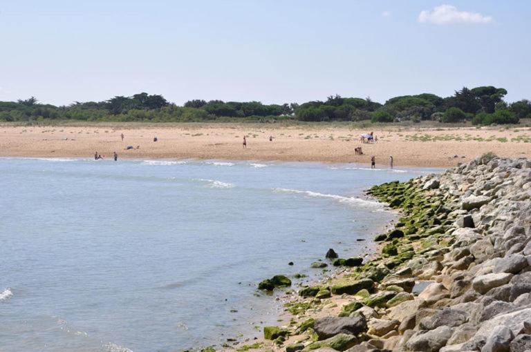 A 80M De La Plage De Plaisance Pour 8 Personnes แซ็งต์-จอร์จส์-โดเลรง ภายนอก รูปภาพ